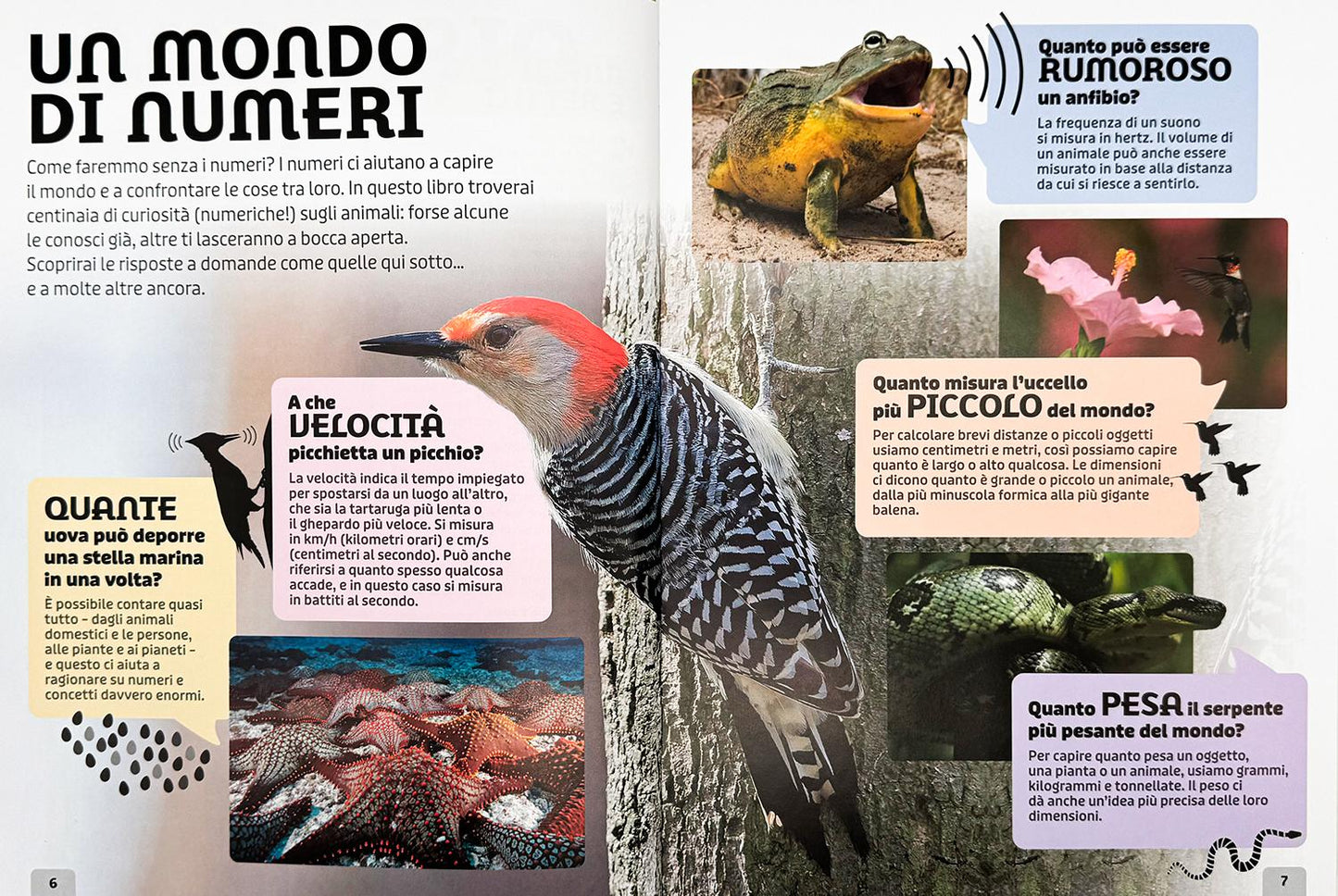 Animali. Un'enciclopedia di fatti fantastici
