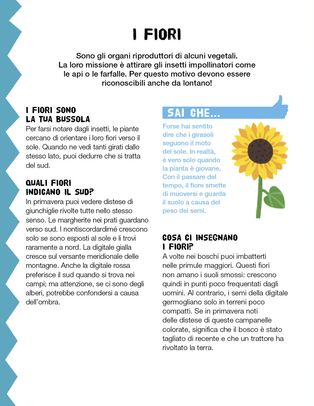 Leggiamo i segni della natura::Manuale del giovane esploratore