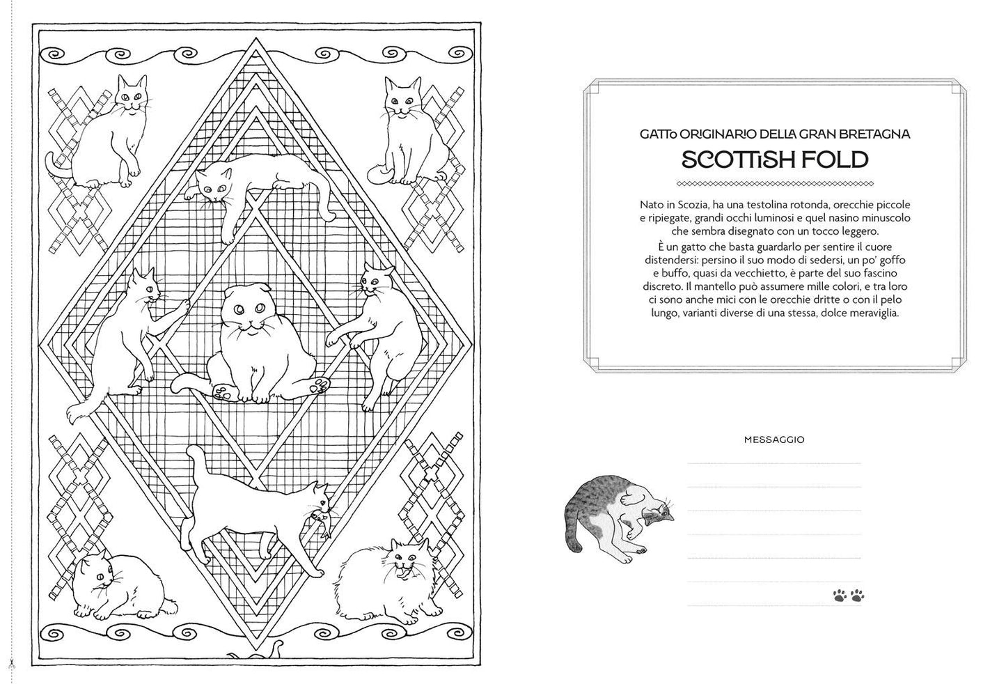 Mandala dei Gatti::Coloring Book per Cat Lovers