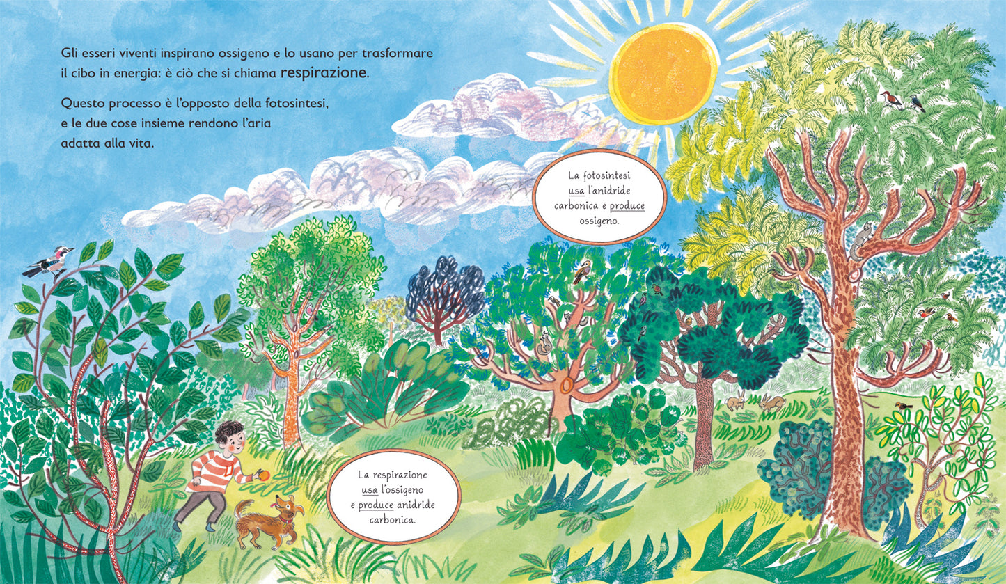 Verde::Il mondo segreto delle piante