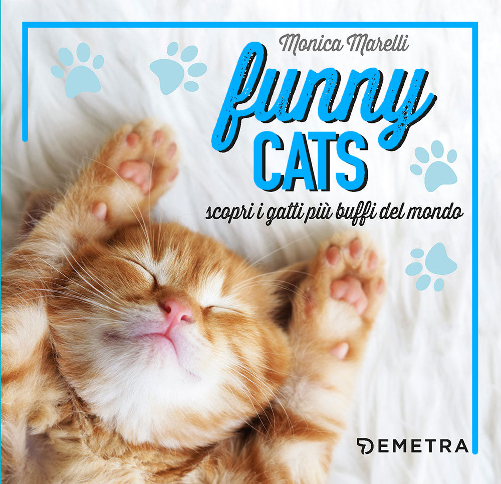 Funny cats::scopri i gatti più buffi del mondo