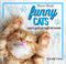 Funny cats::scopri i gatti più buffi del mondo