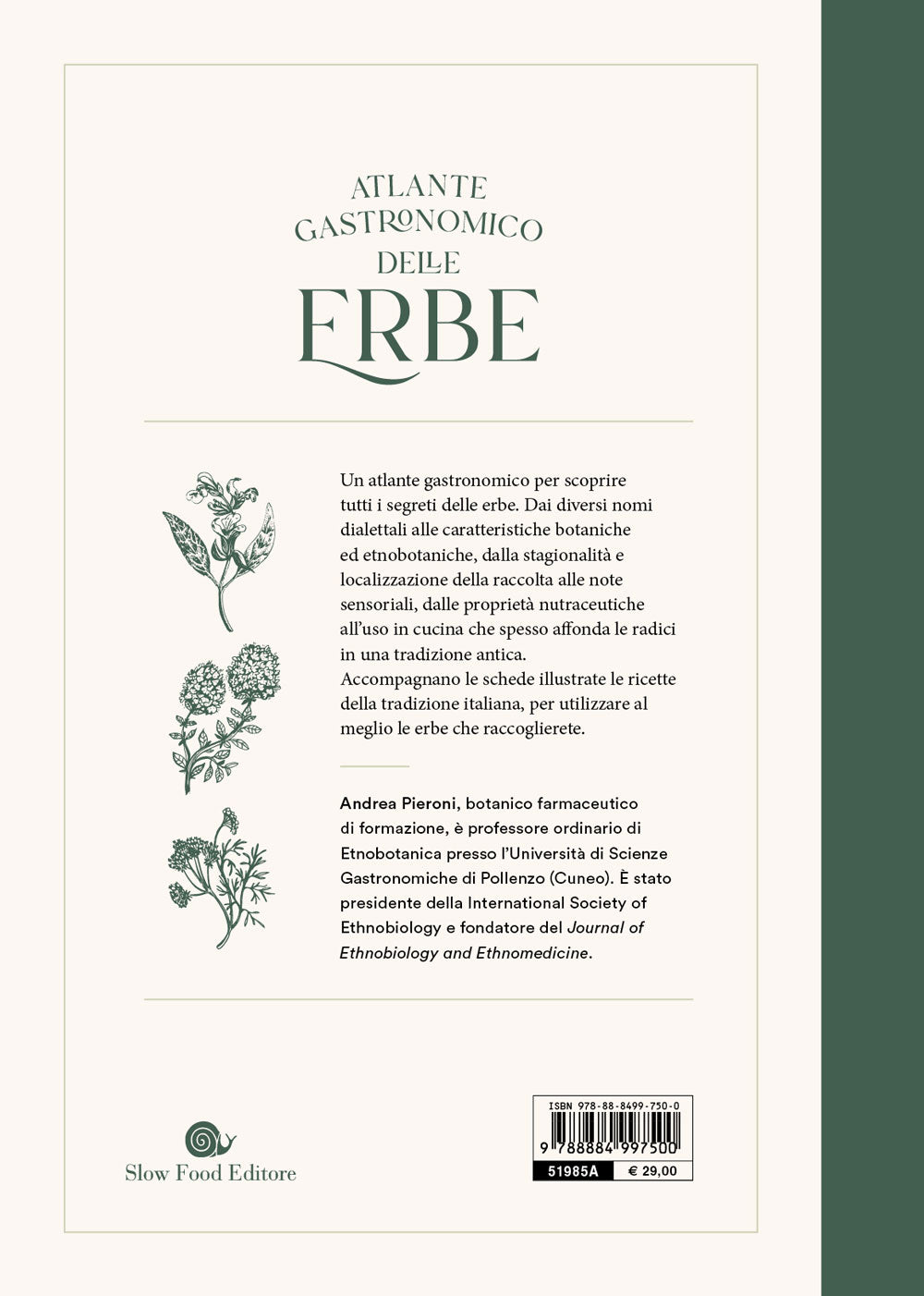 Atlante gastronomico delle erbe::170 piante. 60 ricette