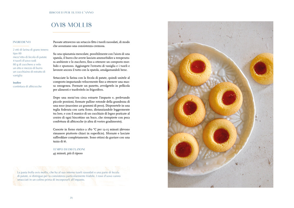 Biscotti per tutto l'anno::170 ricette da preparare in casa