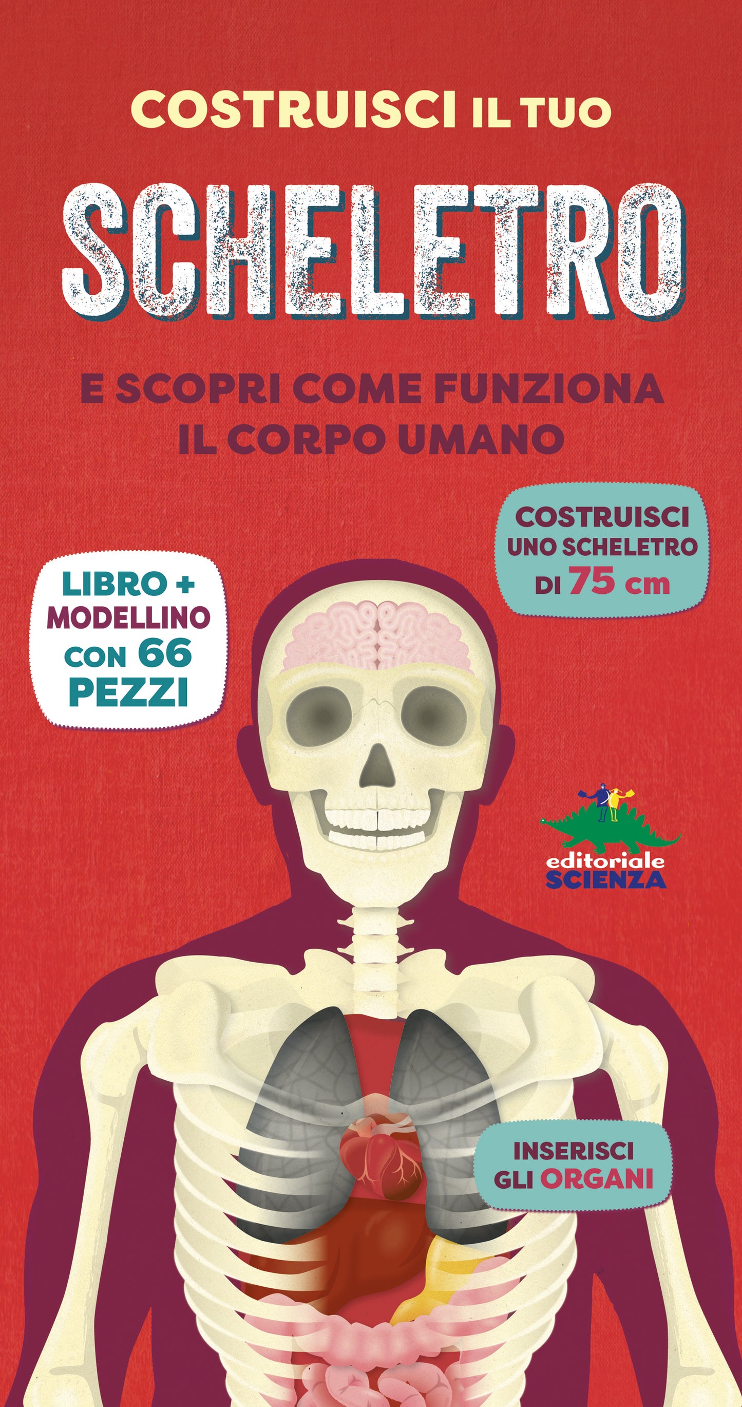 Costruisci il tuo scheletro::e scopri come funziona il corpo umano