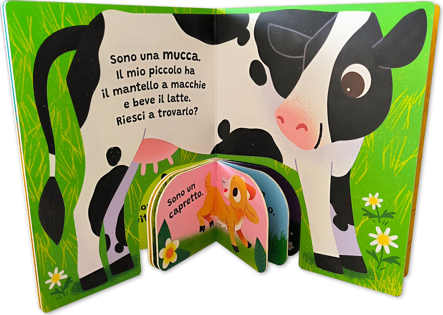 Forma la coppia – Fattoria