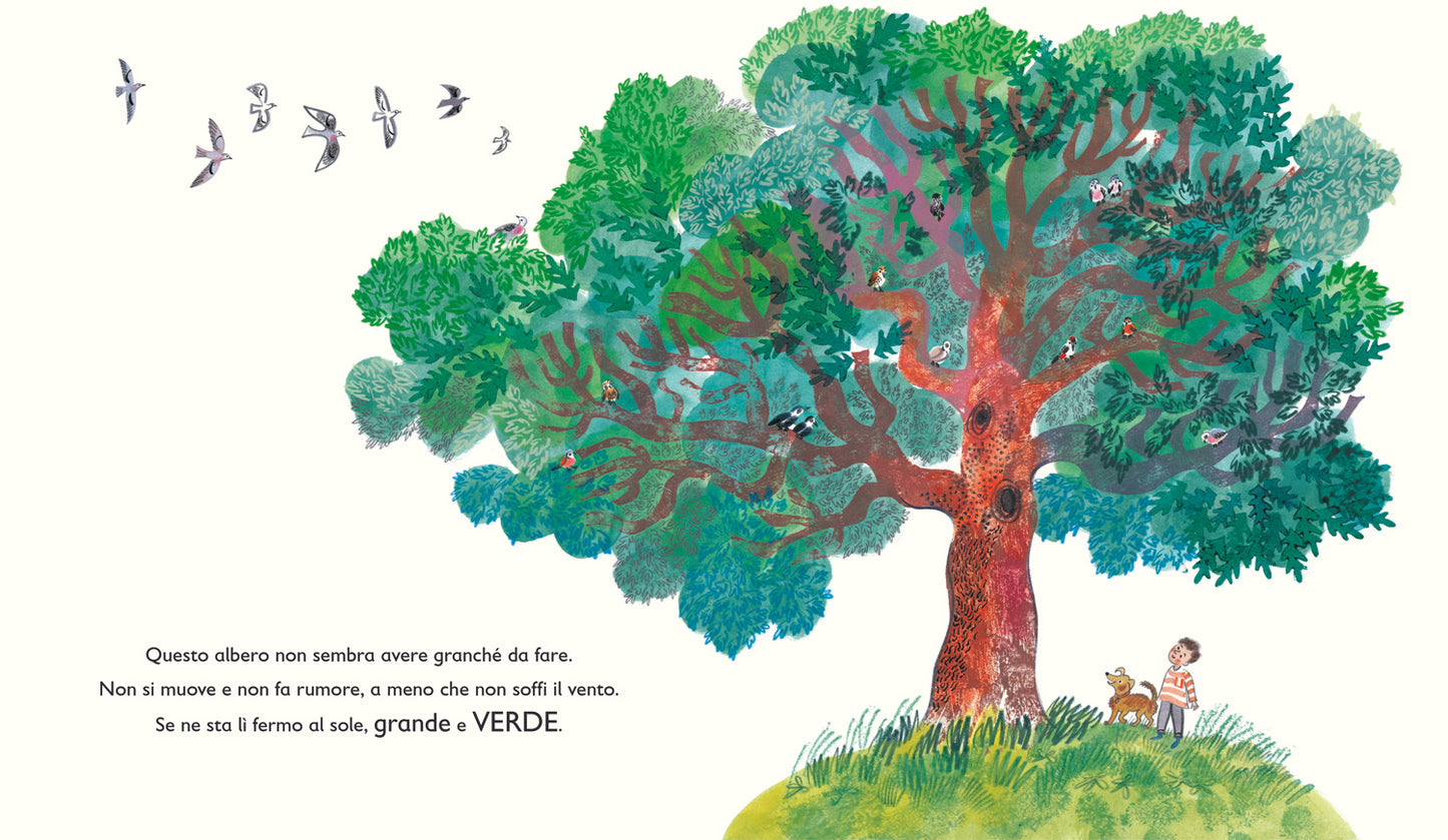 Verde::Il mondo segreto delle piante