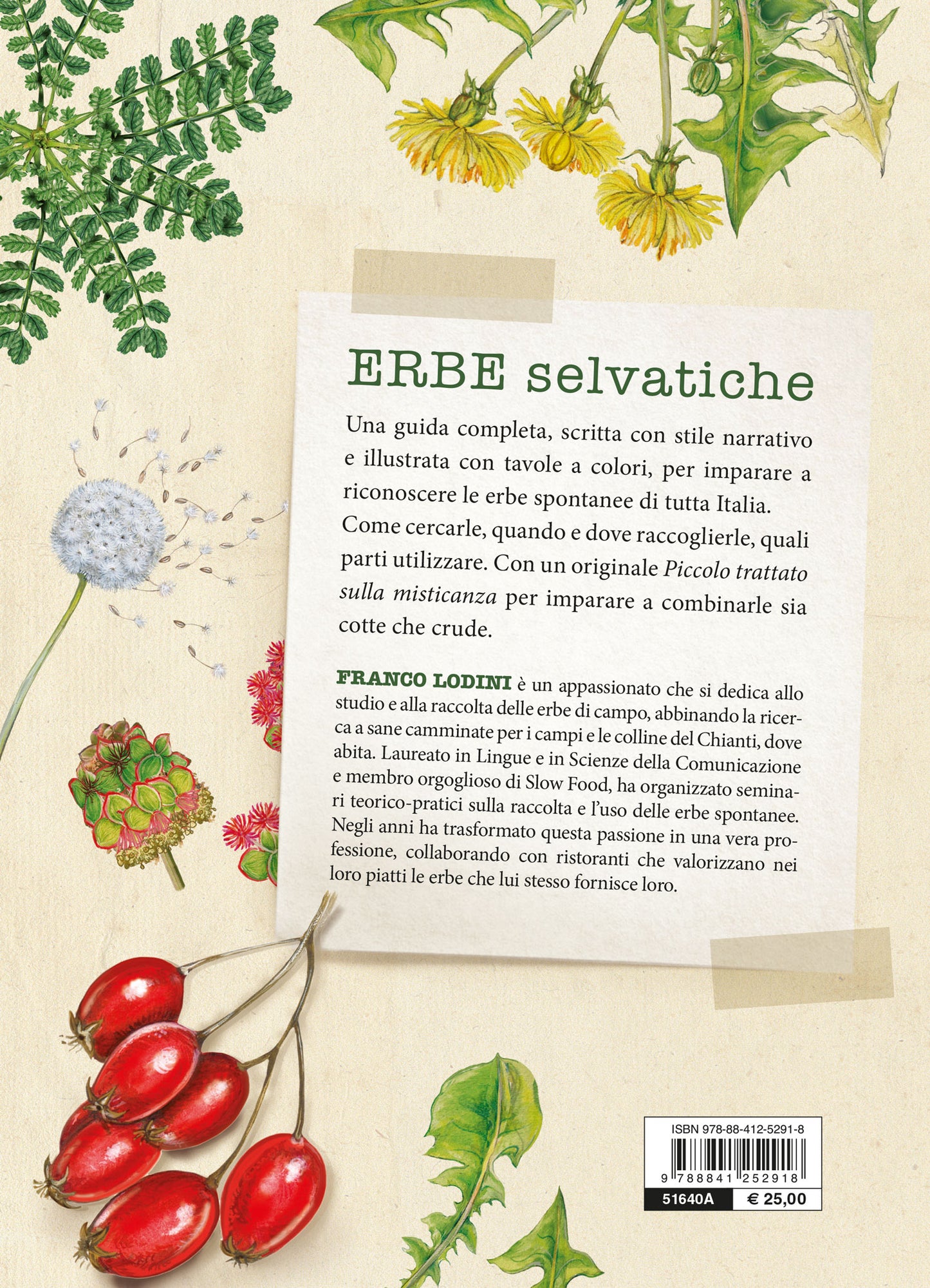 Erbe selvatiche::Riconoscimento - Raccolta - Usi gastronomici