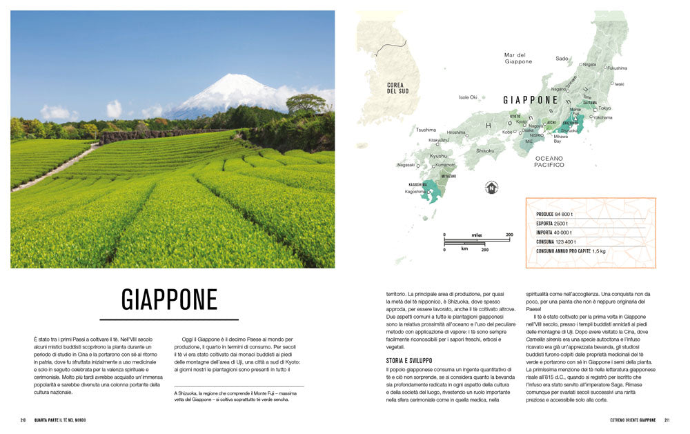 Il mondo del té::Storia, produzione, geografia, cultura