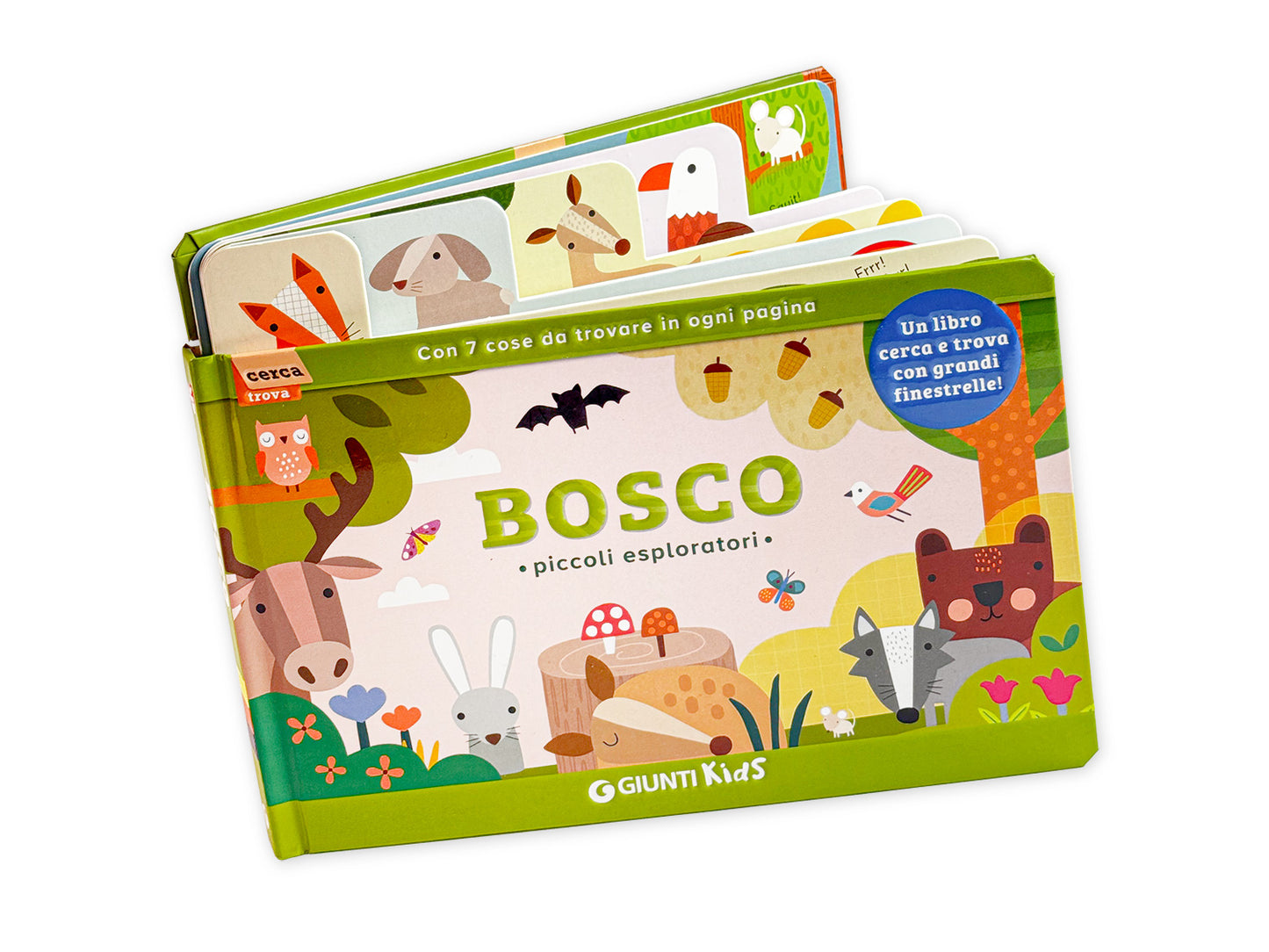 Bosco::Piccoli esploratori