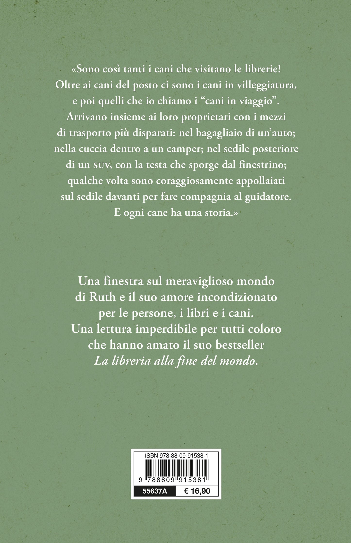 Quando le pagine non bastano:: Storie di libri, musi pelosi e altre carezze