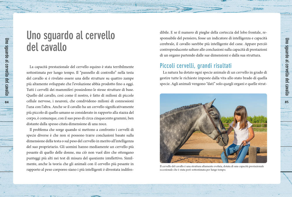 Nella mente del cavallo::Capire le sue emozioni, rispettare la sua intelligenza