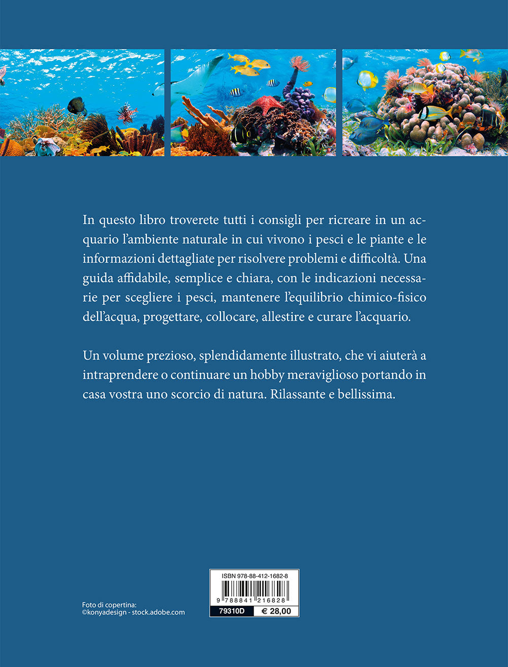 L'acquario spettacolare ::tutto il fascino del mondo sommerso
