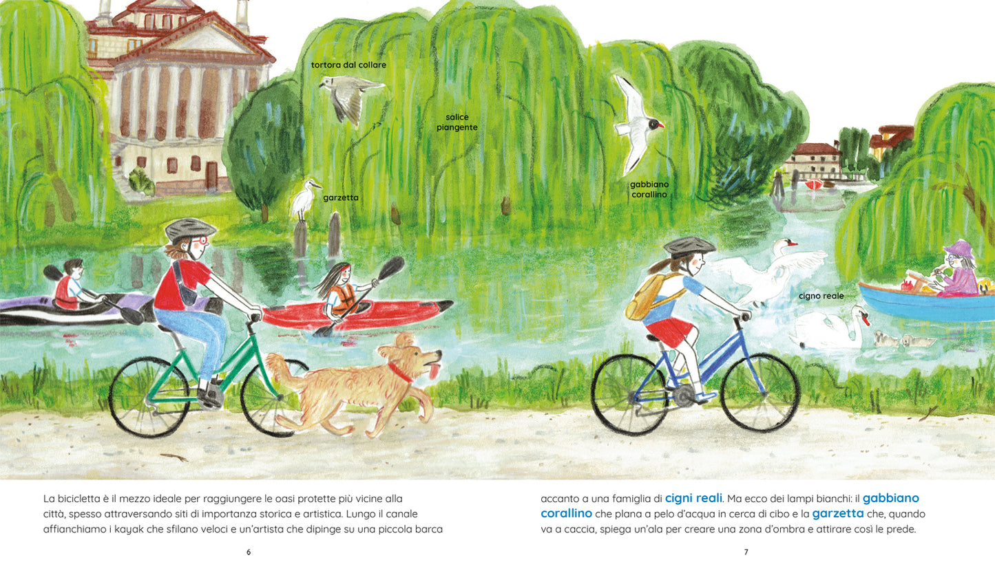 Tra terra e acqua::Fiumi, lagune, stagni