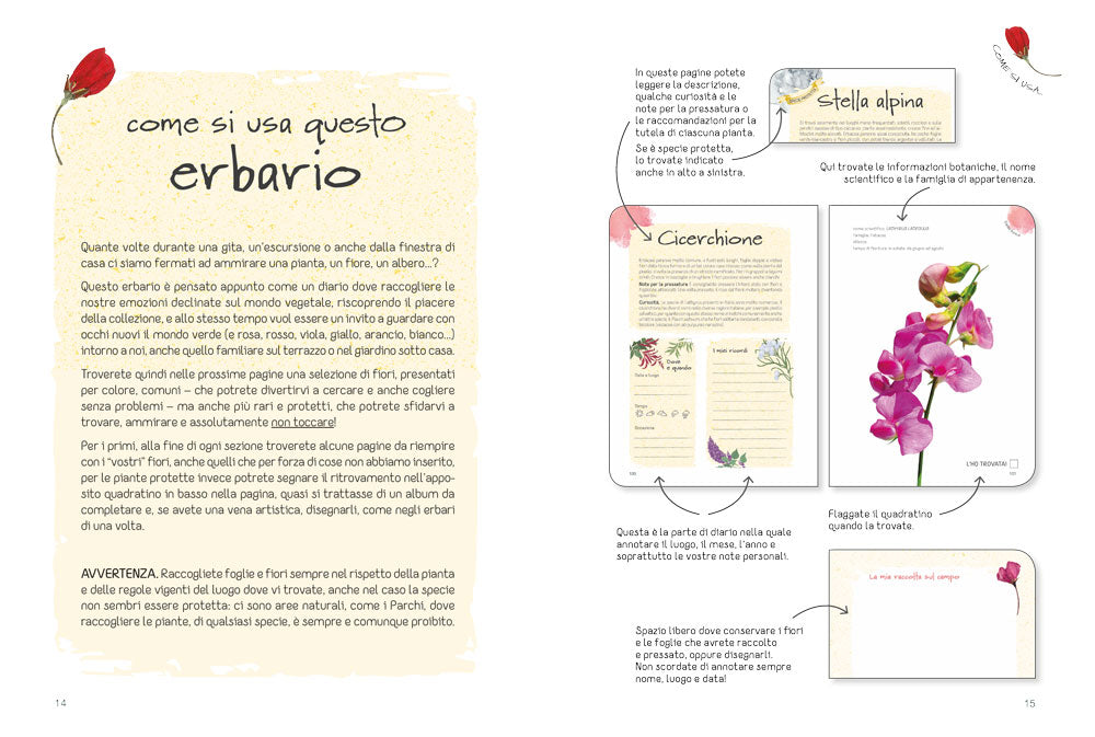 Il mio erbario di fiori e foglie::Per raccogliere e conservare piante, ricordi ed emozioni