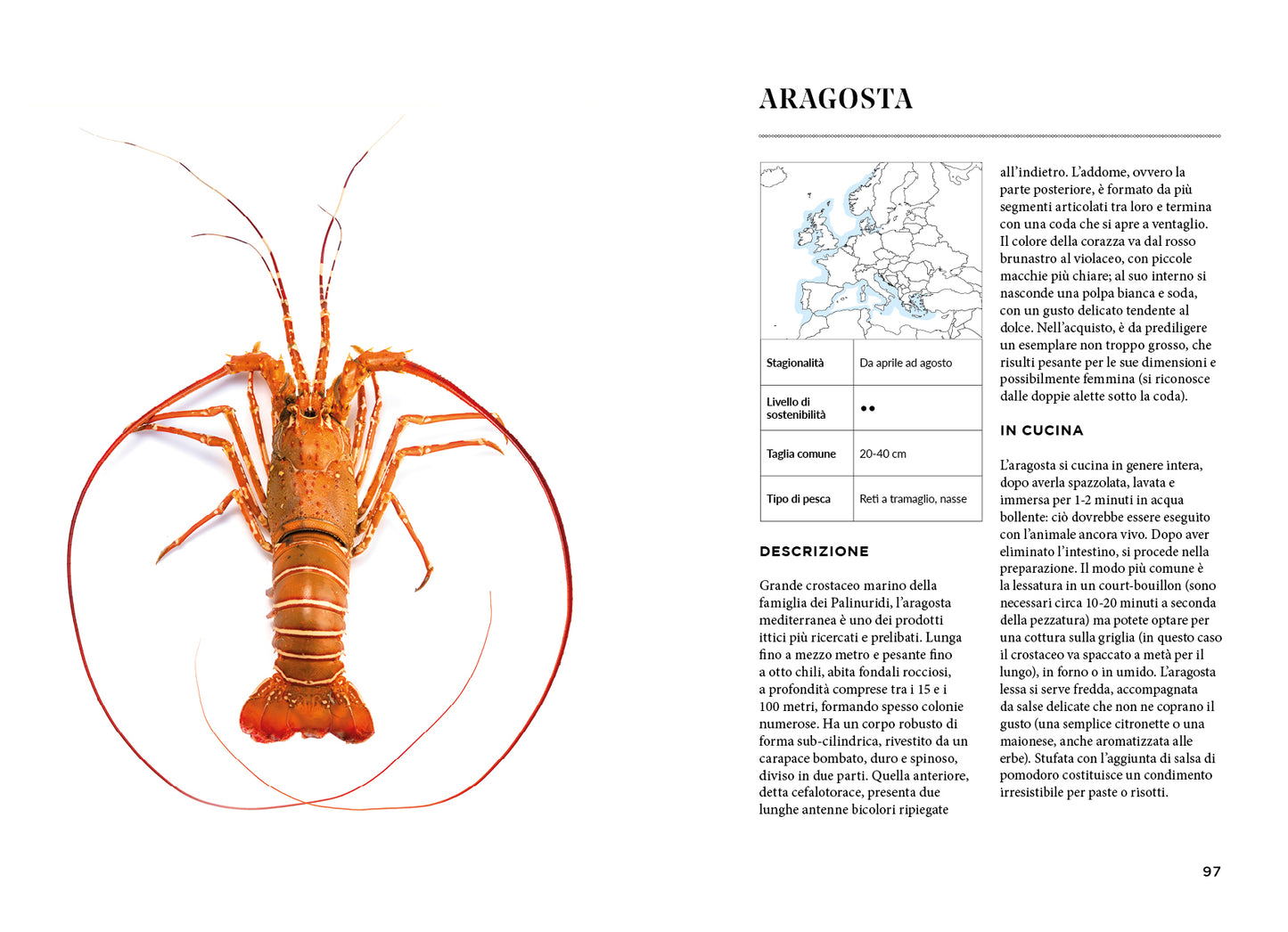 EASY FISH::TECNICHE E RICETTE PER CUCINARE PESCI, MOLLUSCHI E CROSTACEI
