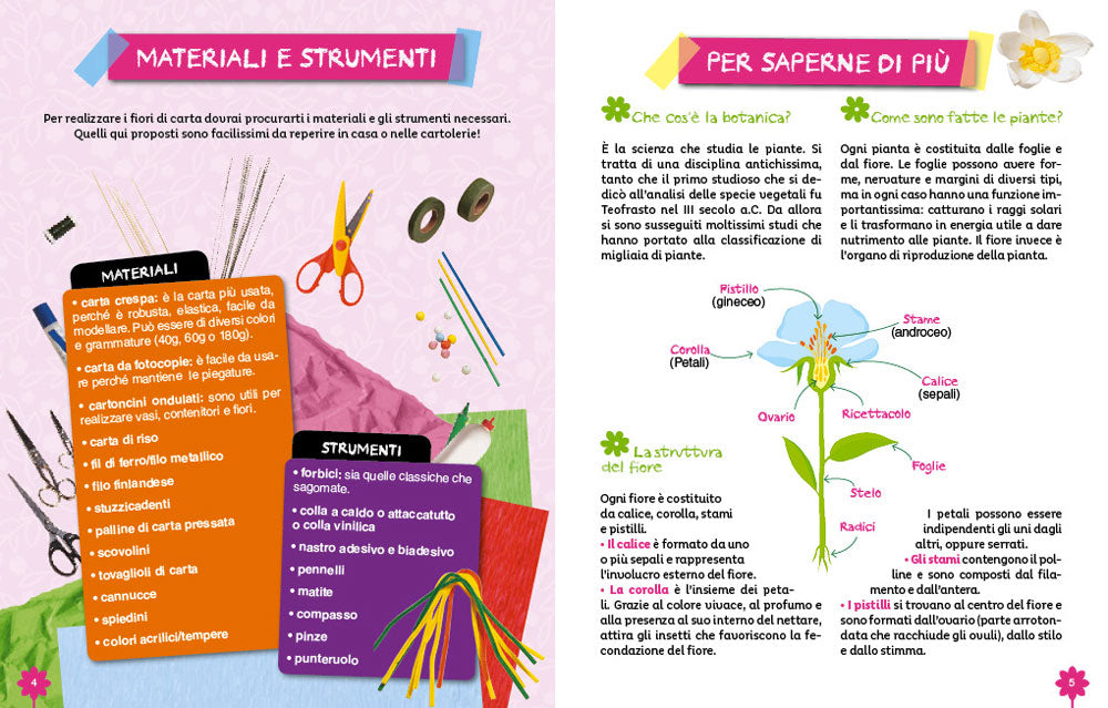 Fiori di carta::Bellissimi fiori da realizzare - Tante curiosità sui fiori