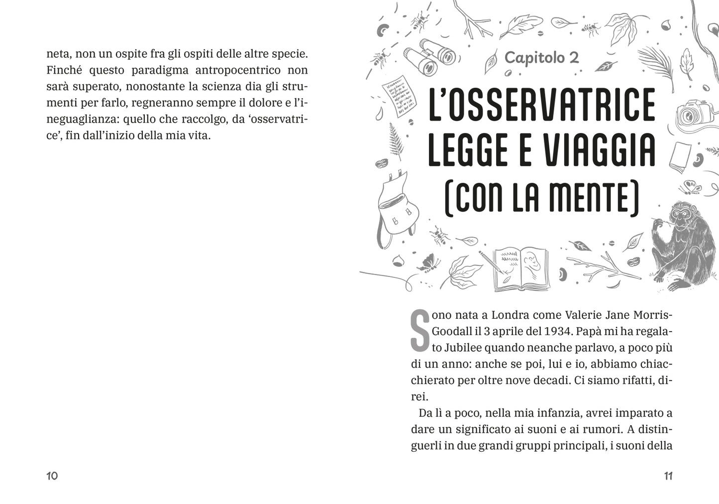 Jane Goodall – Io e gli scimpanzé::Jane Goodall – Io e gli scimpanzé