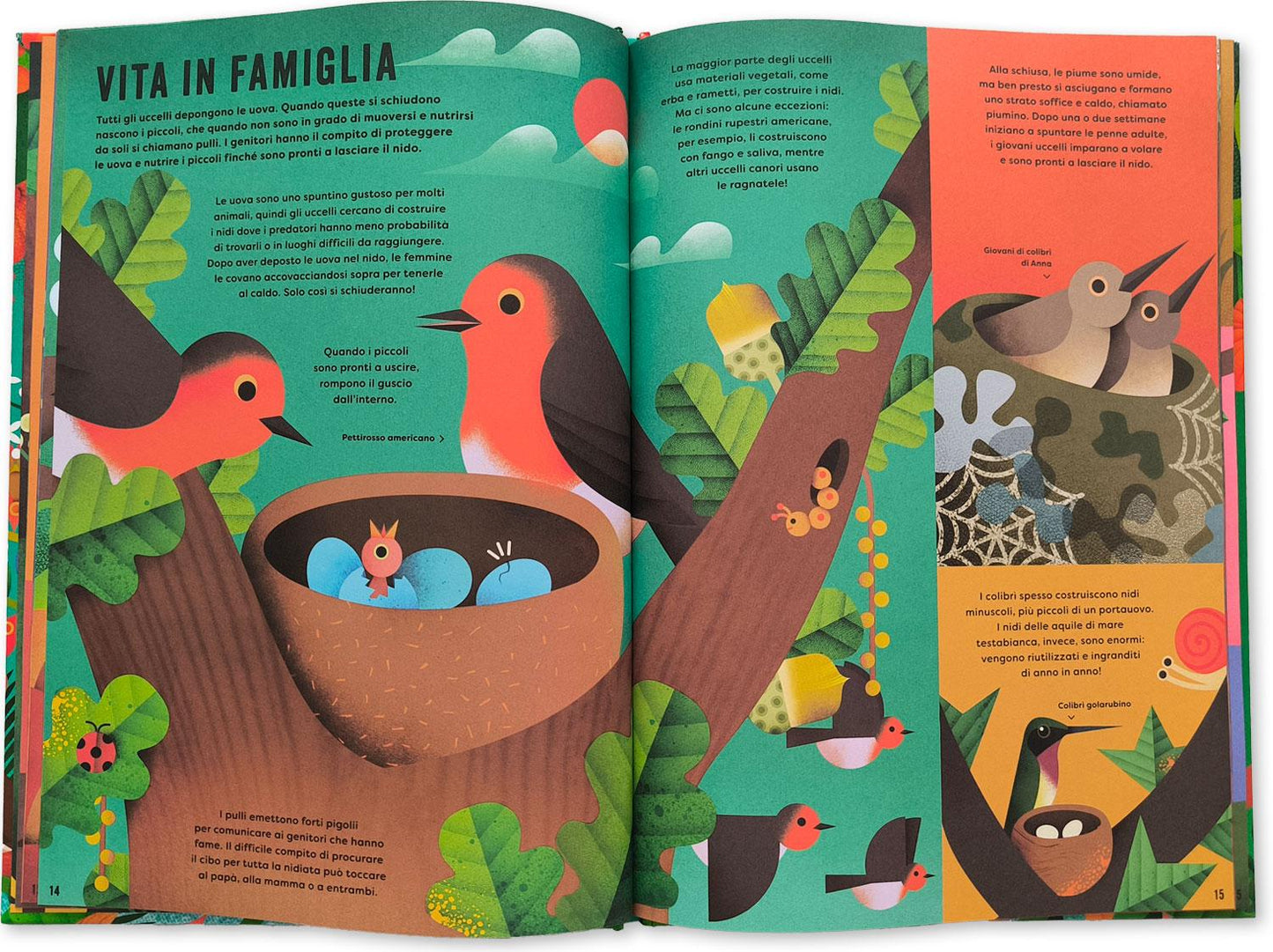 Il mio libro degli uccelli::Una prima guida per aspiranti birdwatchers!