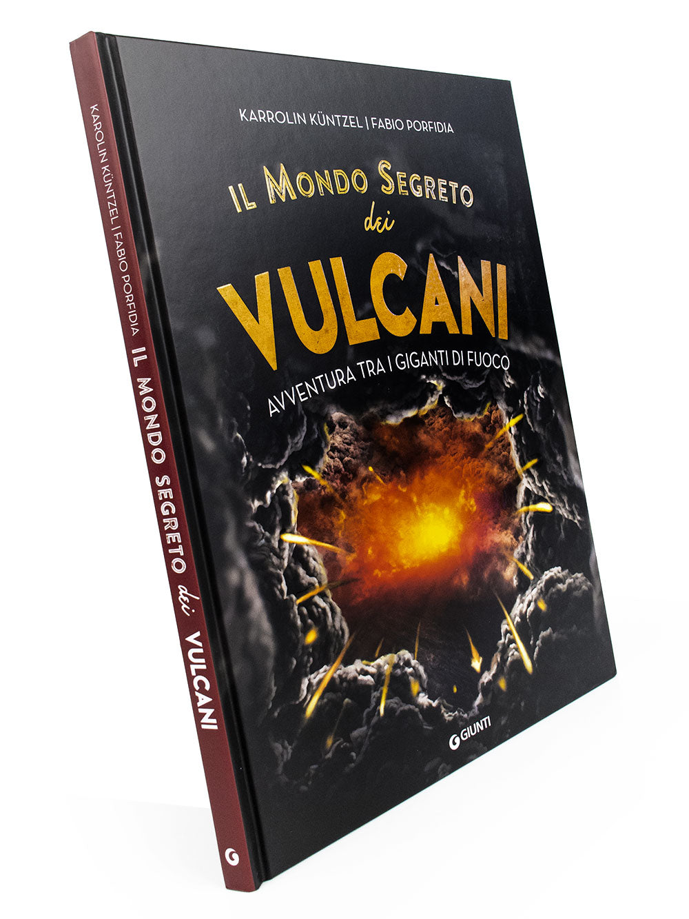 Il mondo segreto dei vulcani::Avventura fra i giganti di fuoco