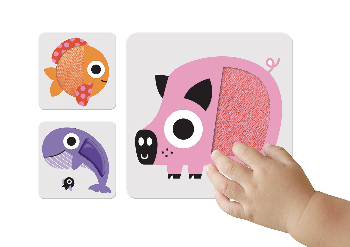 Colori::Flash cards con inserti tattili