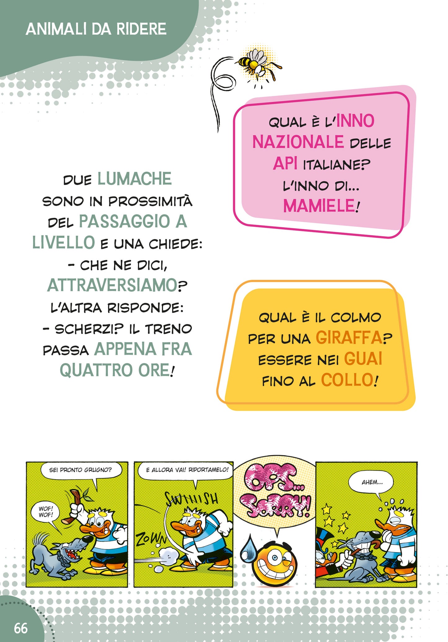 Ridi che fa bene::Freddure e... barzellette
