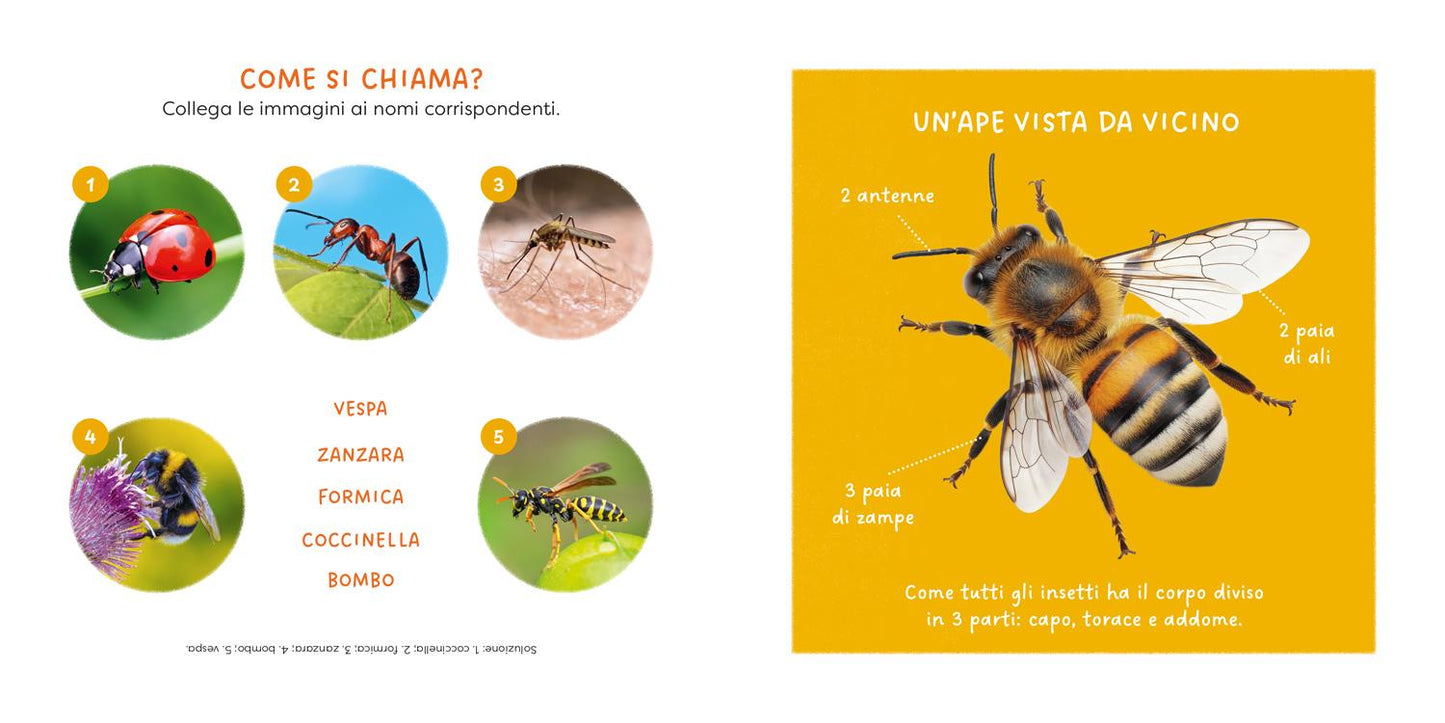 Ape::primi libri fotografici per osservare la natura da vicino!