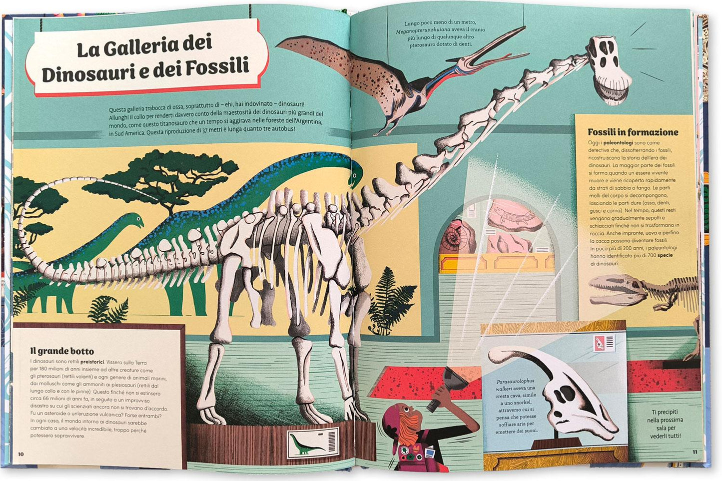 Una notte al museo::Quando le luci si spengono, il museo prende vita