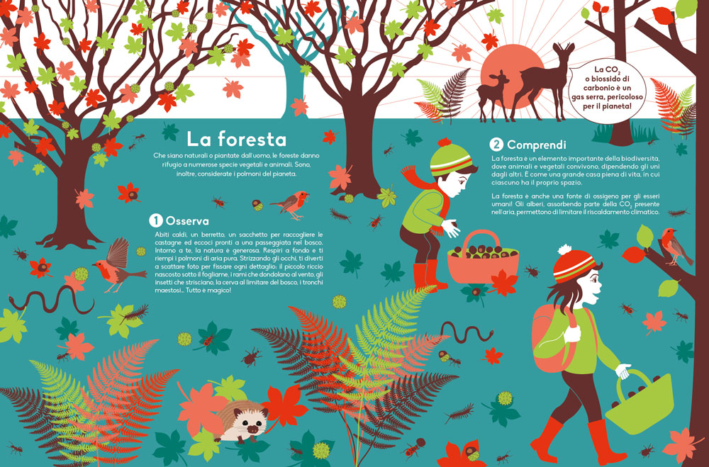 Che cos'è la biodiversità::Osserva, comprendi, proteggi