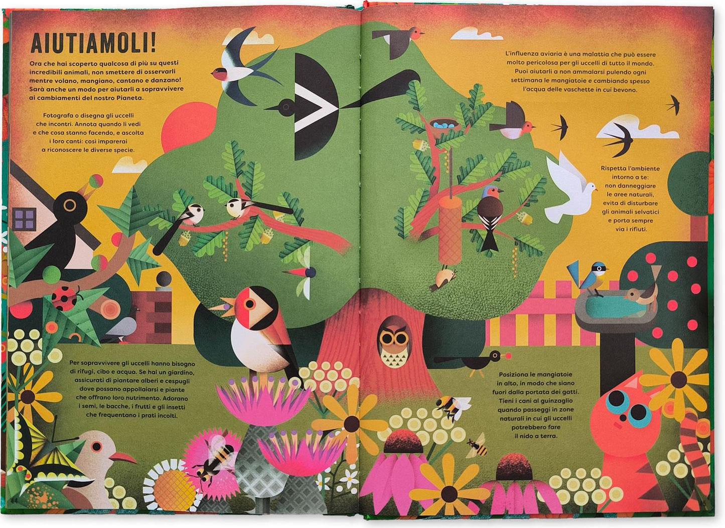 Il mio libro degli uccelli::Una prima guida per aspiranti birdwatchers!