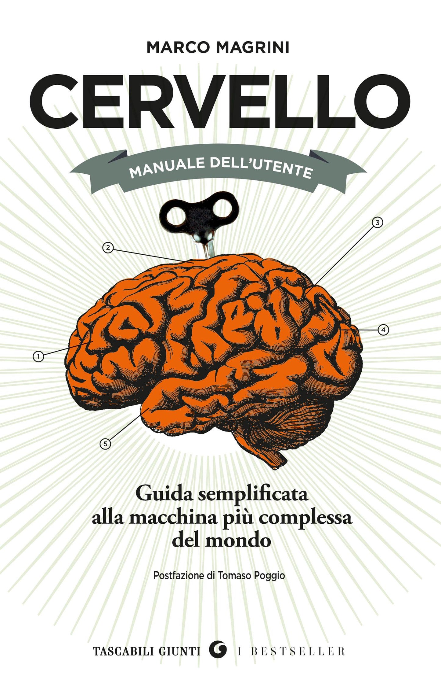 Cervello. Manuale dell'utente::Guida semplificata alla macchina più complessa del mondo