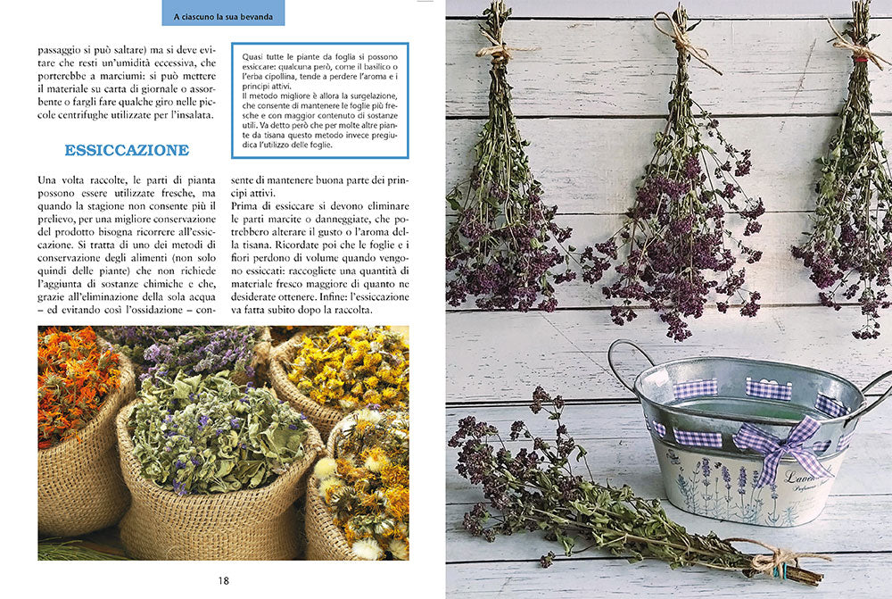 Coltiva le tue tisane::Tè e infusi