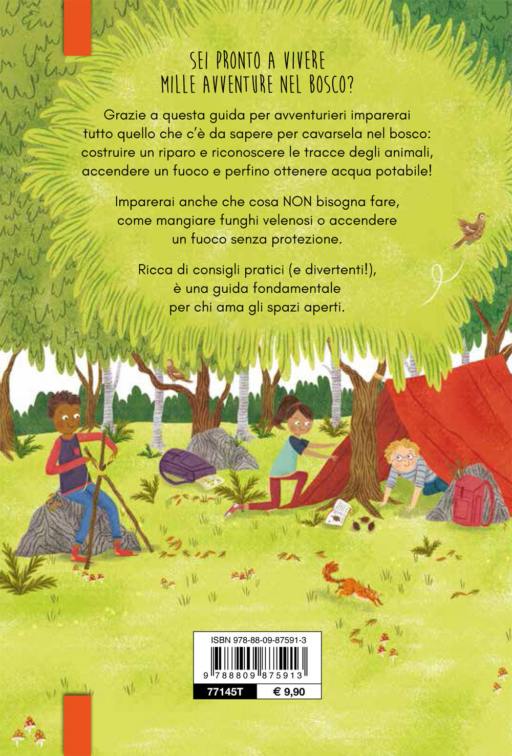 Manuale delle avventure nel bosco