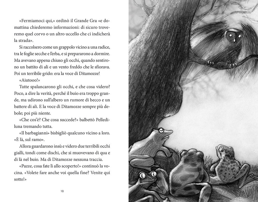 La compagnia della pioggia