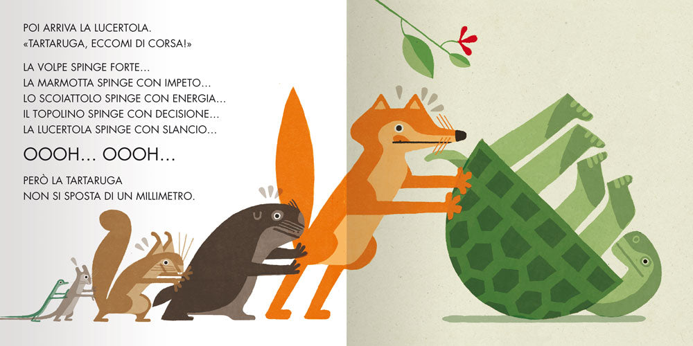 Gira la tartaruga!