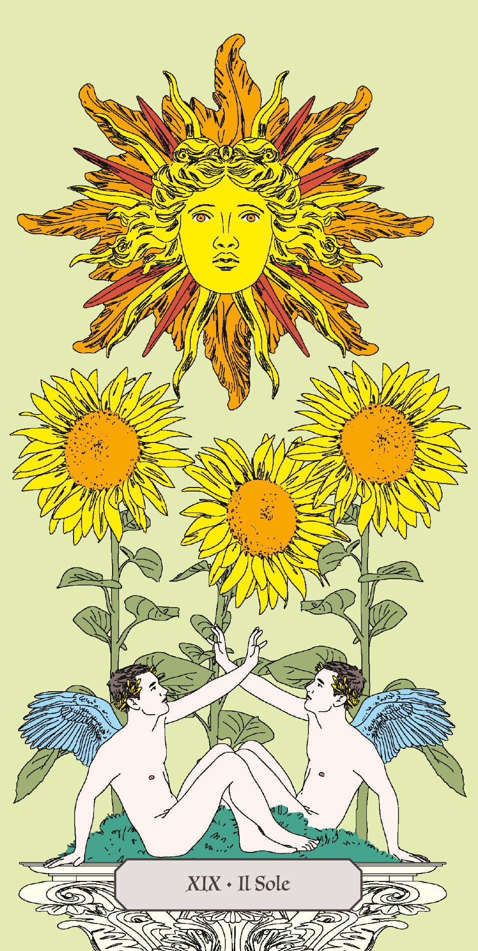 TAROCCHI FLORA