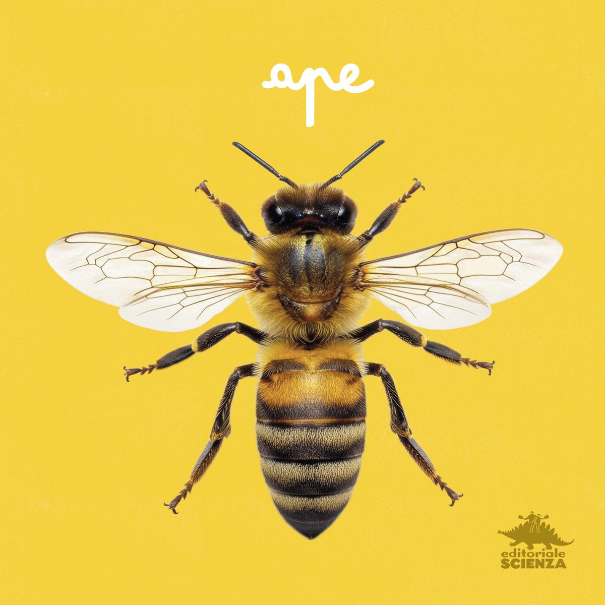 Ape::primi libri fotografici per osservare la natura da vicino!