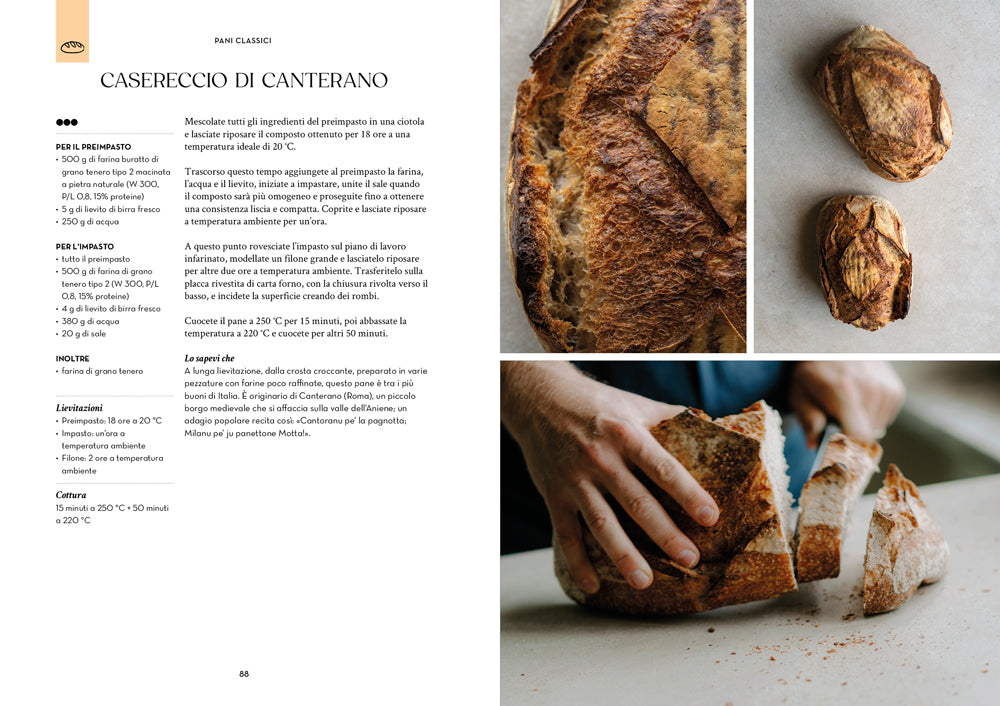 NEL FORNO DI CASA. LE MIE RICETTE PER TUTTI::186 FOCACCE, PIZZE, PANI E DOLCI PER METTERE LE MANI IN PASTA
