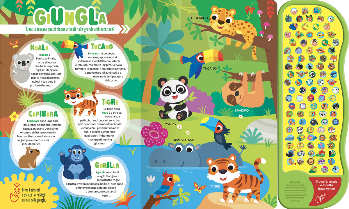 Animali del mondo::100 suoni