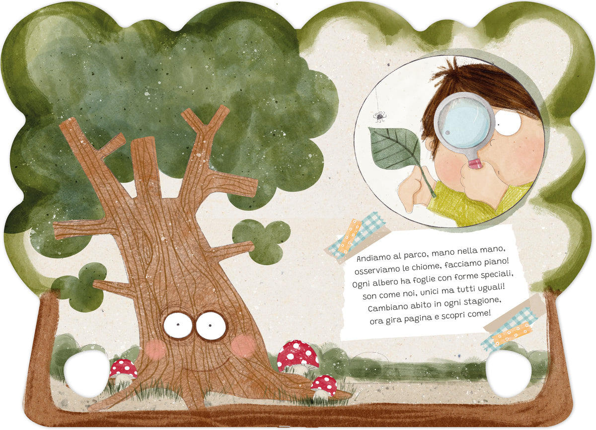 Alberi e foglie