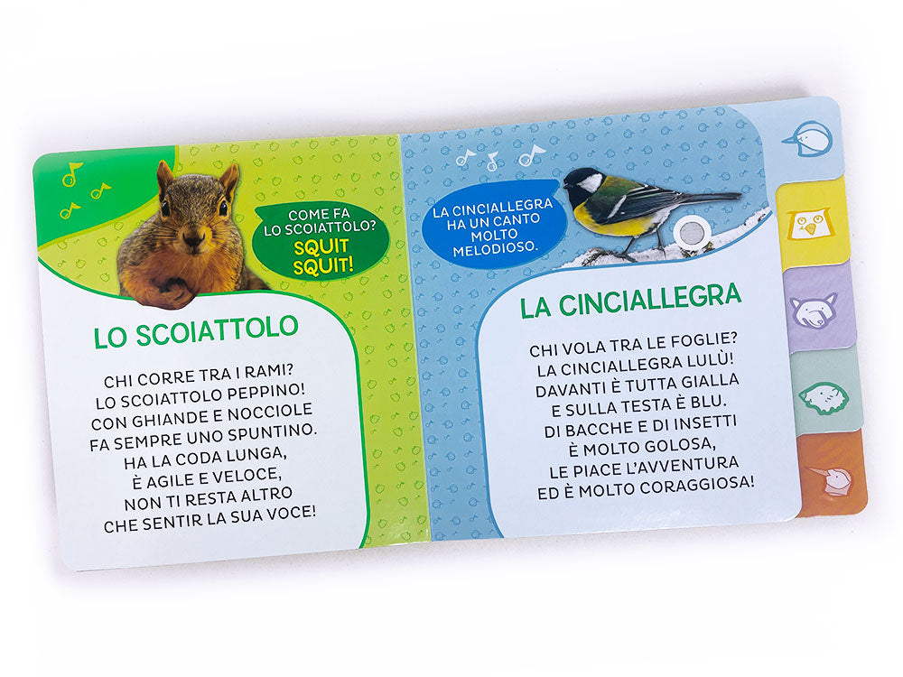 Animali del bosco. Primi Suoni
