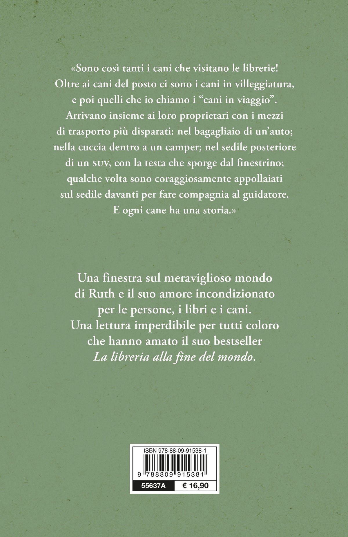 Quando le pagine non bastano:: Storie di libri, musi pelosi e altre carezze