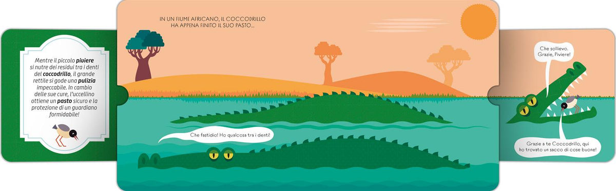 Amici è meglio::Alleanze sorprendenti nel mondo animale