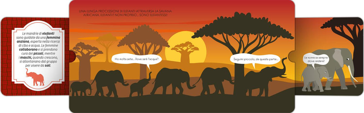 Tante famiglie::Legami speciali nel mondo animale