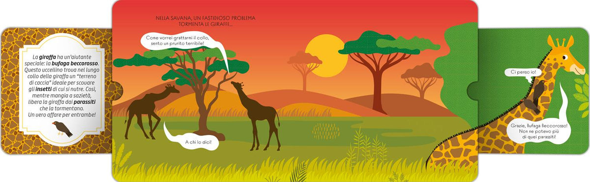 Amici è meglio::Alleanze sorprendenti nel mondo animale