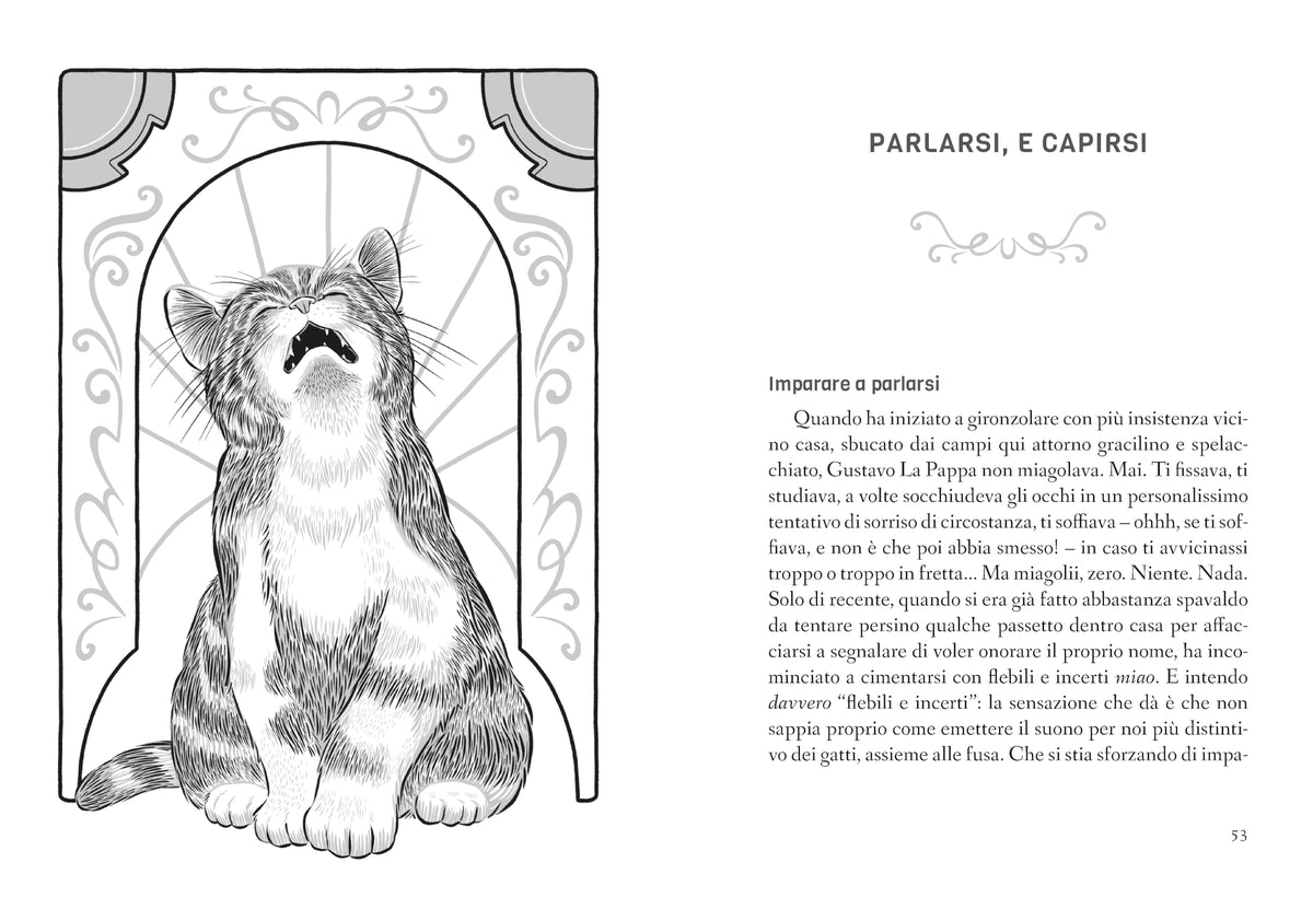 Vita felix::La via dei gatti per un'esistenza felice