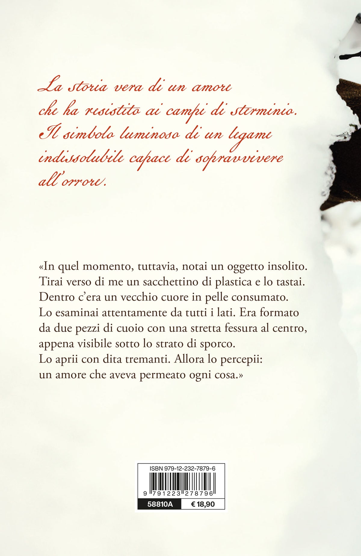 Ti lascio il mio cuore::Una storia d'amore e sopravvivenza ad Auschwitz