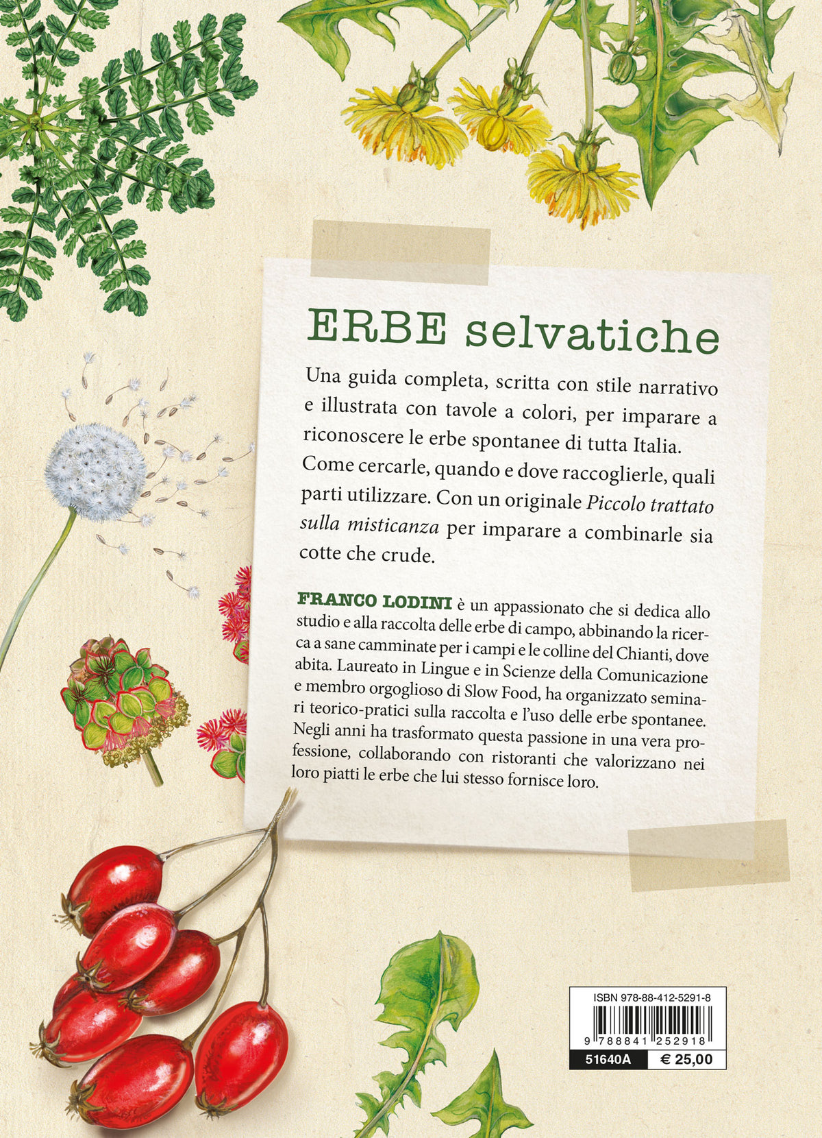 Erbe selvatiche::Riconoscimento - Raccolta - Usi gastronomici