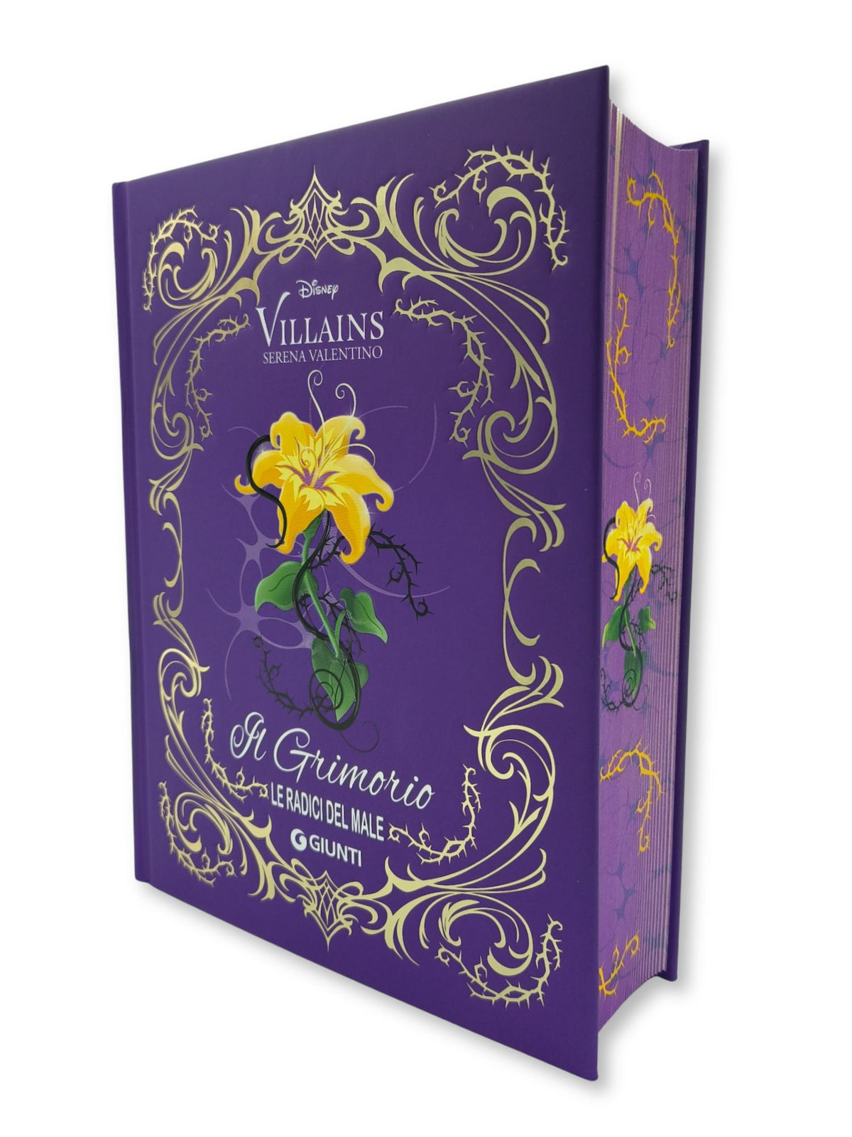 Grimorio Le Radici del male Disney Villains