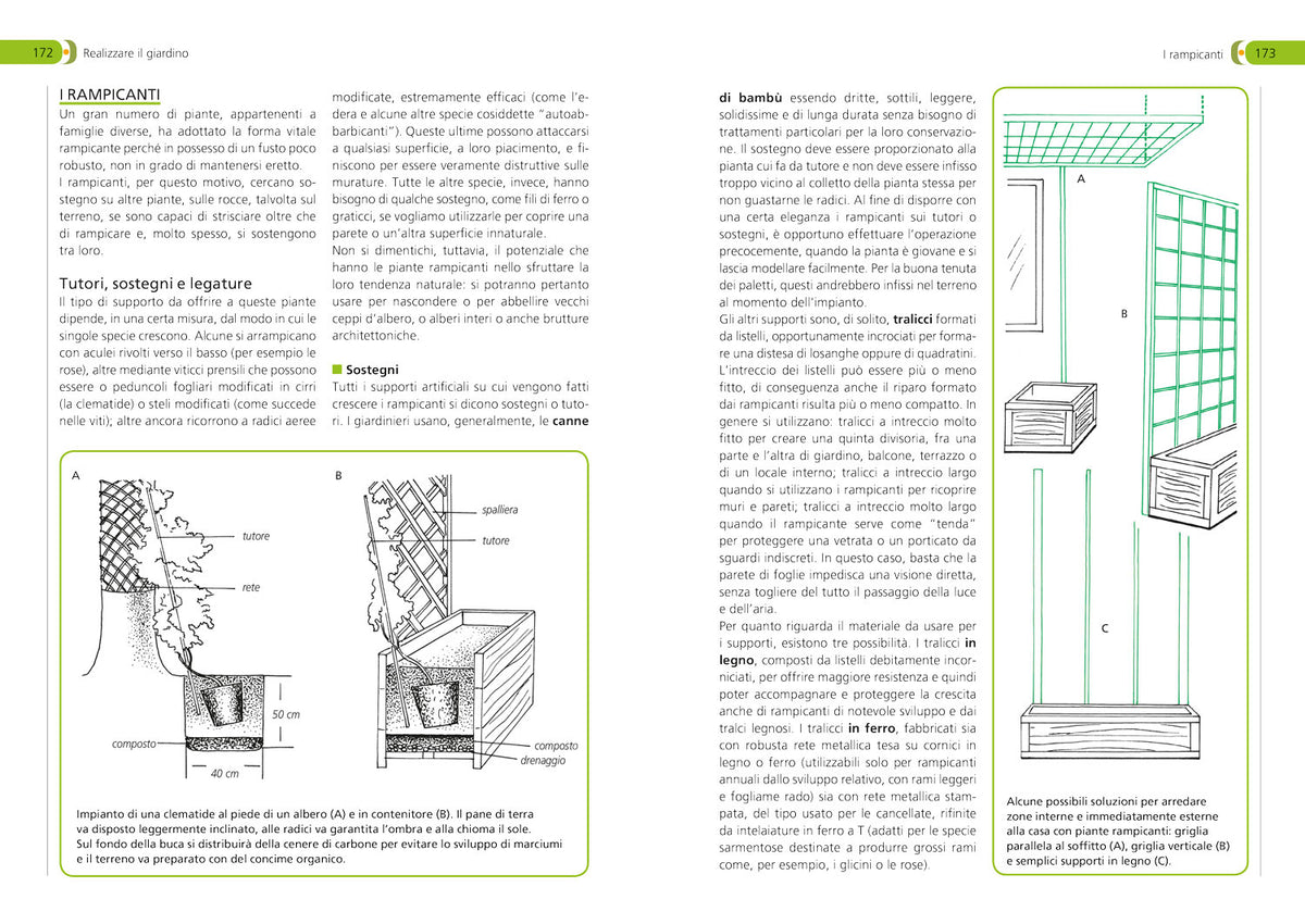 Orto, frutteto, giardino::Il manuale completo